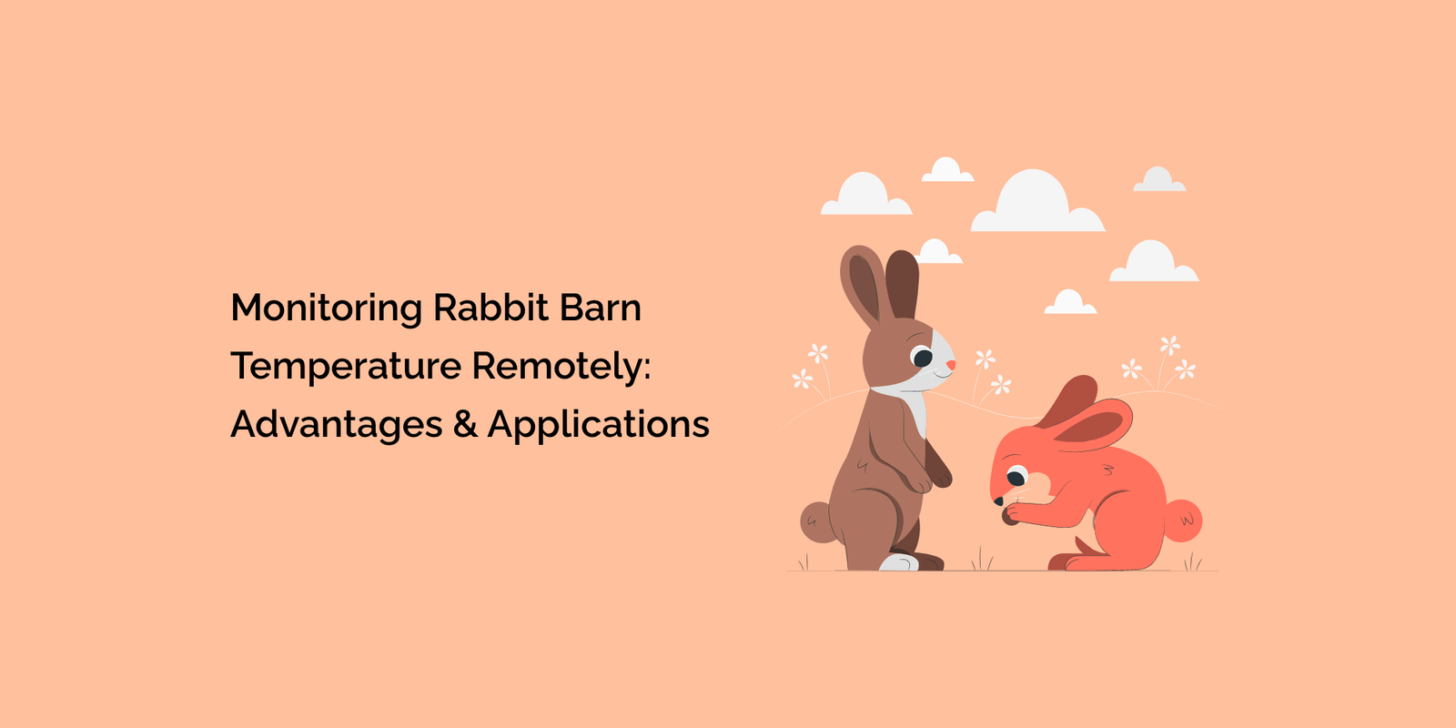 Rabbit Temp Monitoring Rabbit Barn Temperature Remotely: Advantages and ...
