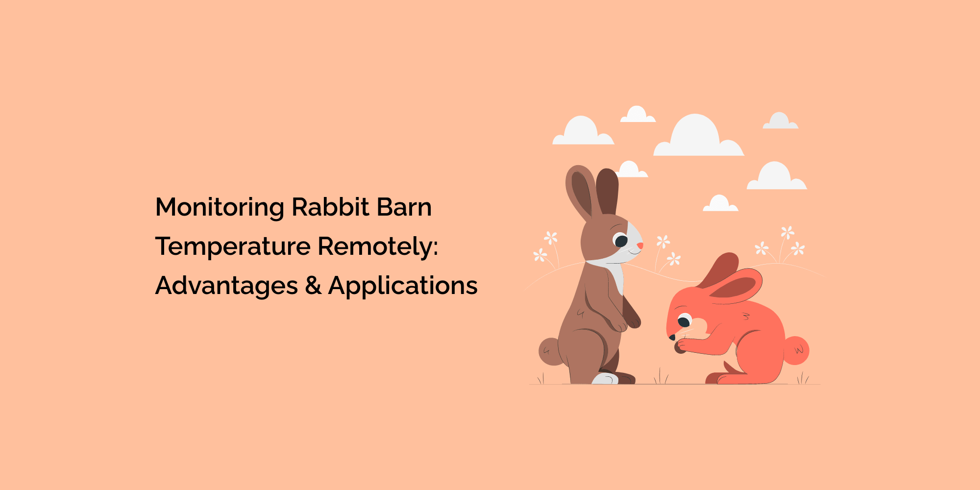 Monitoring Rabbit Barn Temperature Remotely: Advantages and Applications