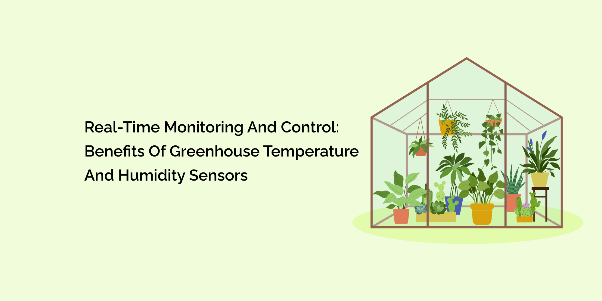 Real-time Monitoring and Control: Benefits of Greenhouse Temperature and Humidity Sensors