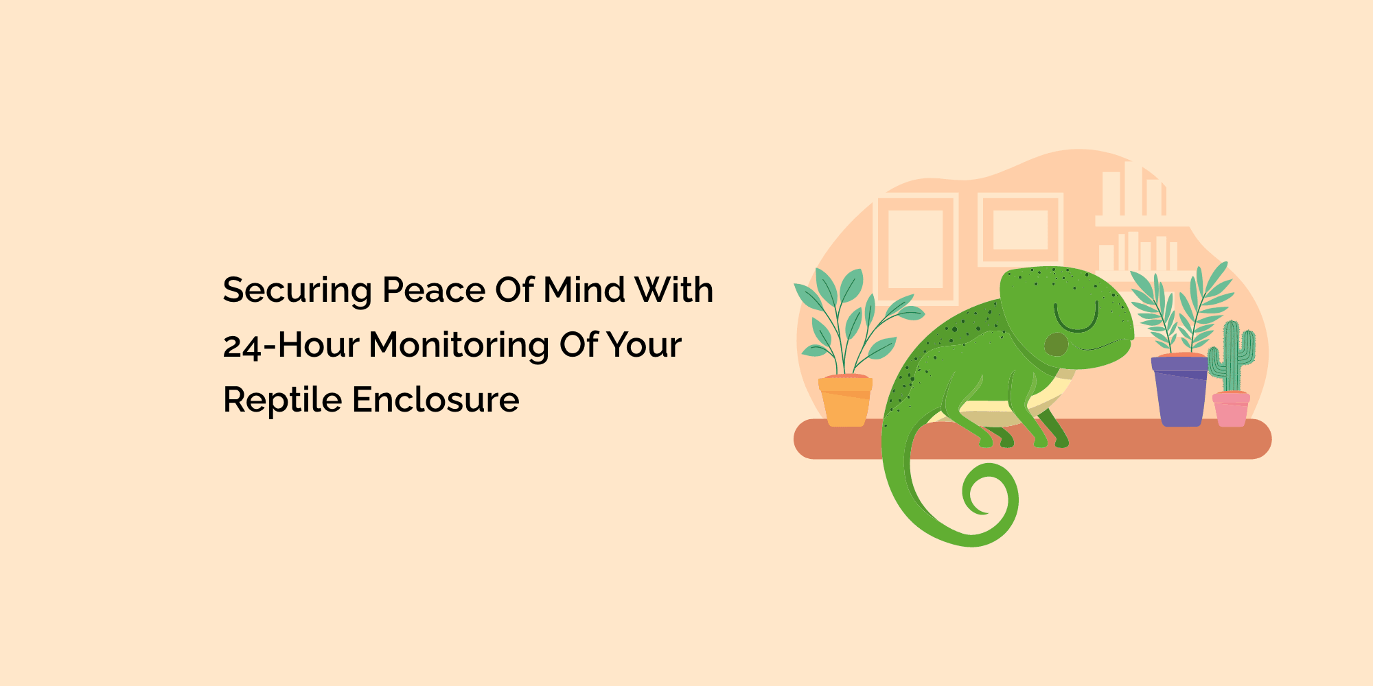 Securing Peace of Mind with 24-Hour Monitoring of Your Reptile Enclosure