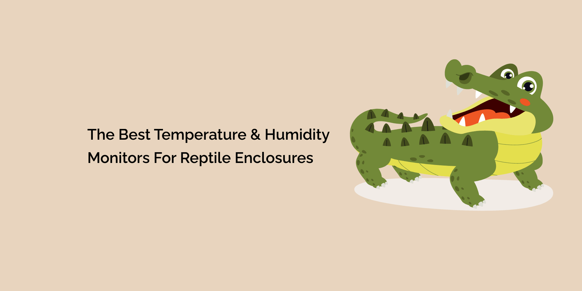 The Best Temperature and Humidity Monitors for Reptile Enclosures