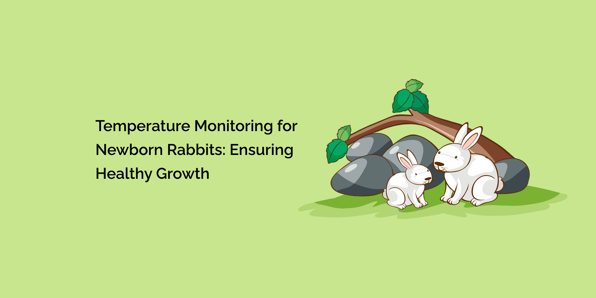 Temperature Monitoring for Newborn Rabbits: Ensuring Healthy Growth