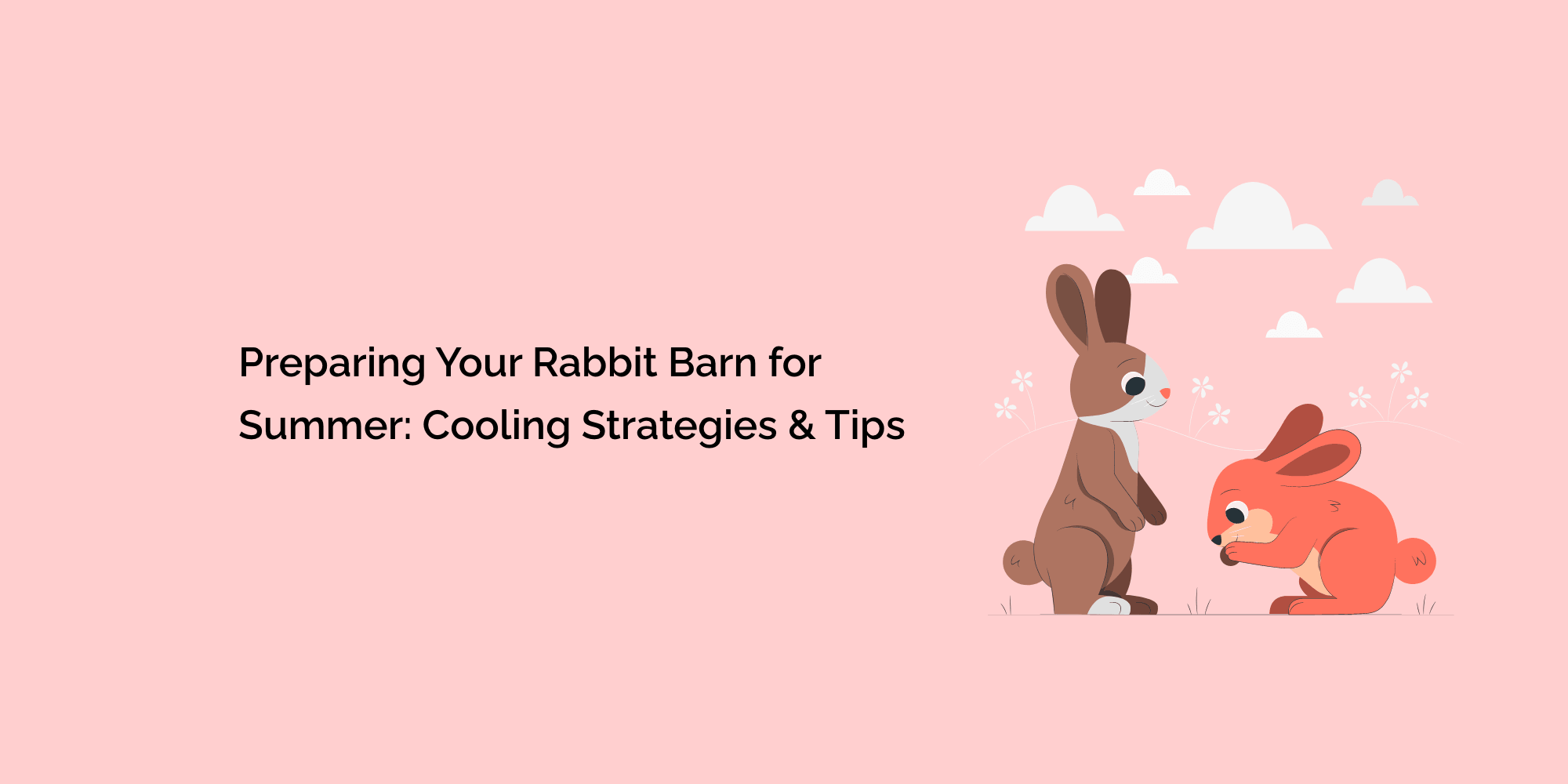 Preparing Your Rabbit Barn for Summer: Cooling Strategies and Tips