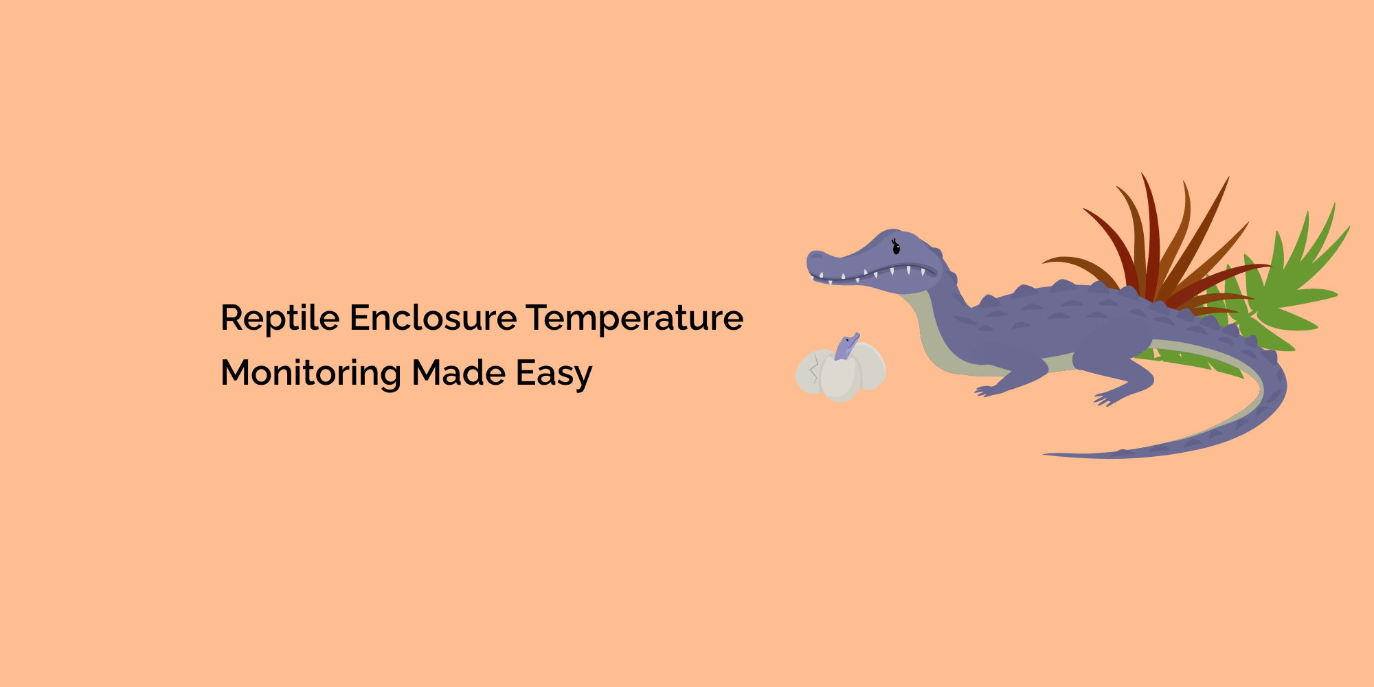 Reptile Enclosure Temperature Monitoring Made Easy
