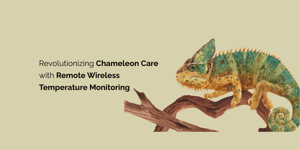 tempCube: Revolutionizing Chameleon Care with Remote Wireless Temperature Monitoring