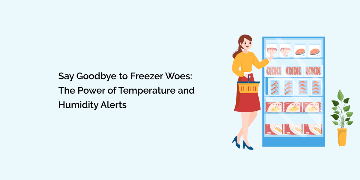 Say Goodbye to Freezer Woes: The Power of Temperature and Humidity ...