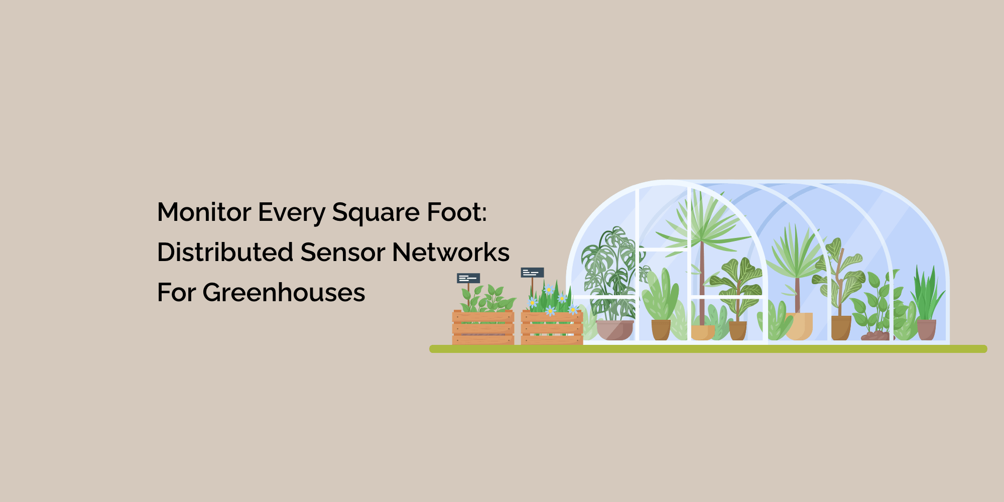 Monitor Every Square Foot: Distributed Sensor Networks for Greenhouses