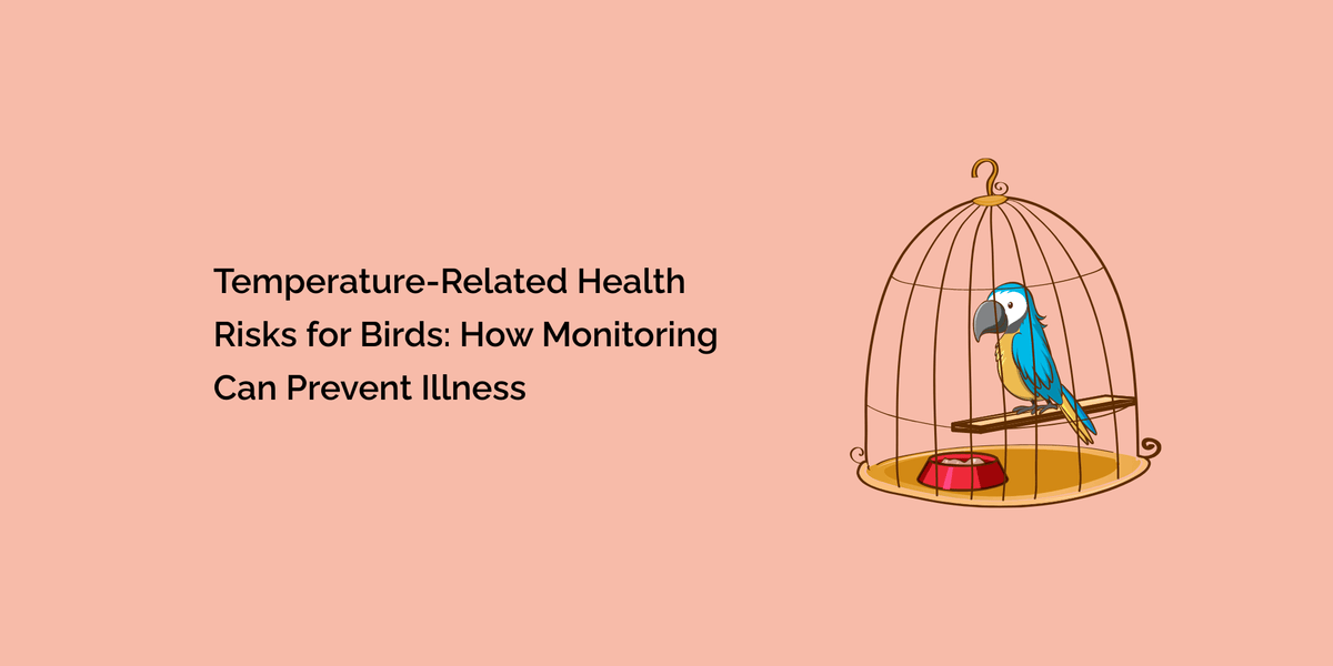 Humidity Bird Temperature-Related Health Risks for Birds: How Monitoring Can Prevent ...