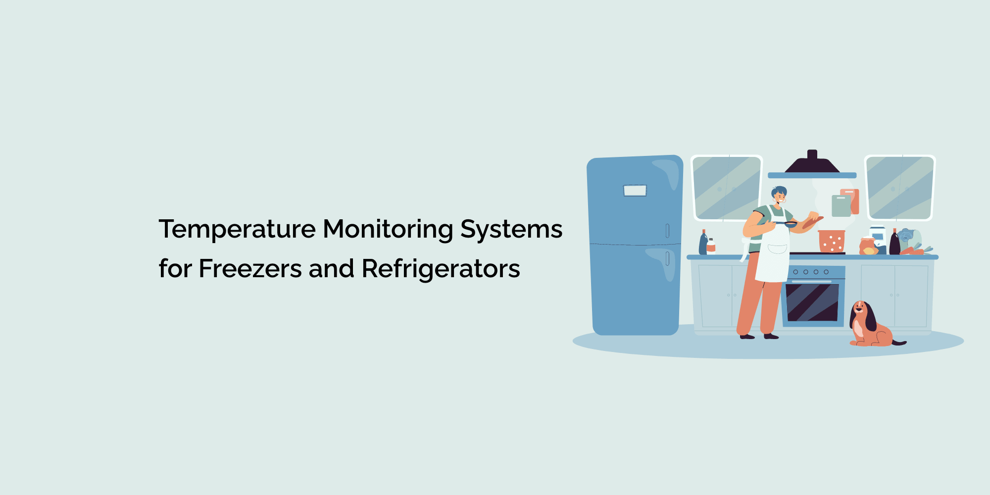 Temperature Monitoring Systems for Freezers and Refrigerators