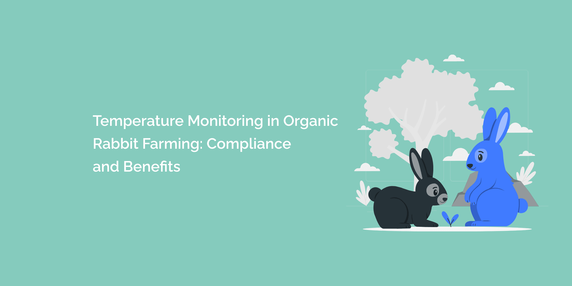 Temperature Monitoring in Organic Rabbit Farming: Compliance and Benefits