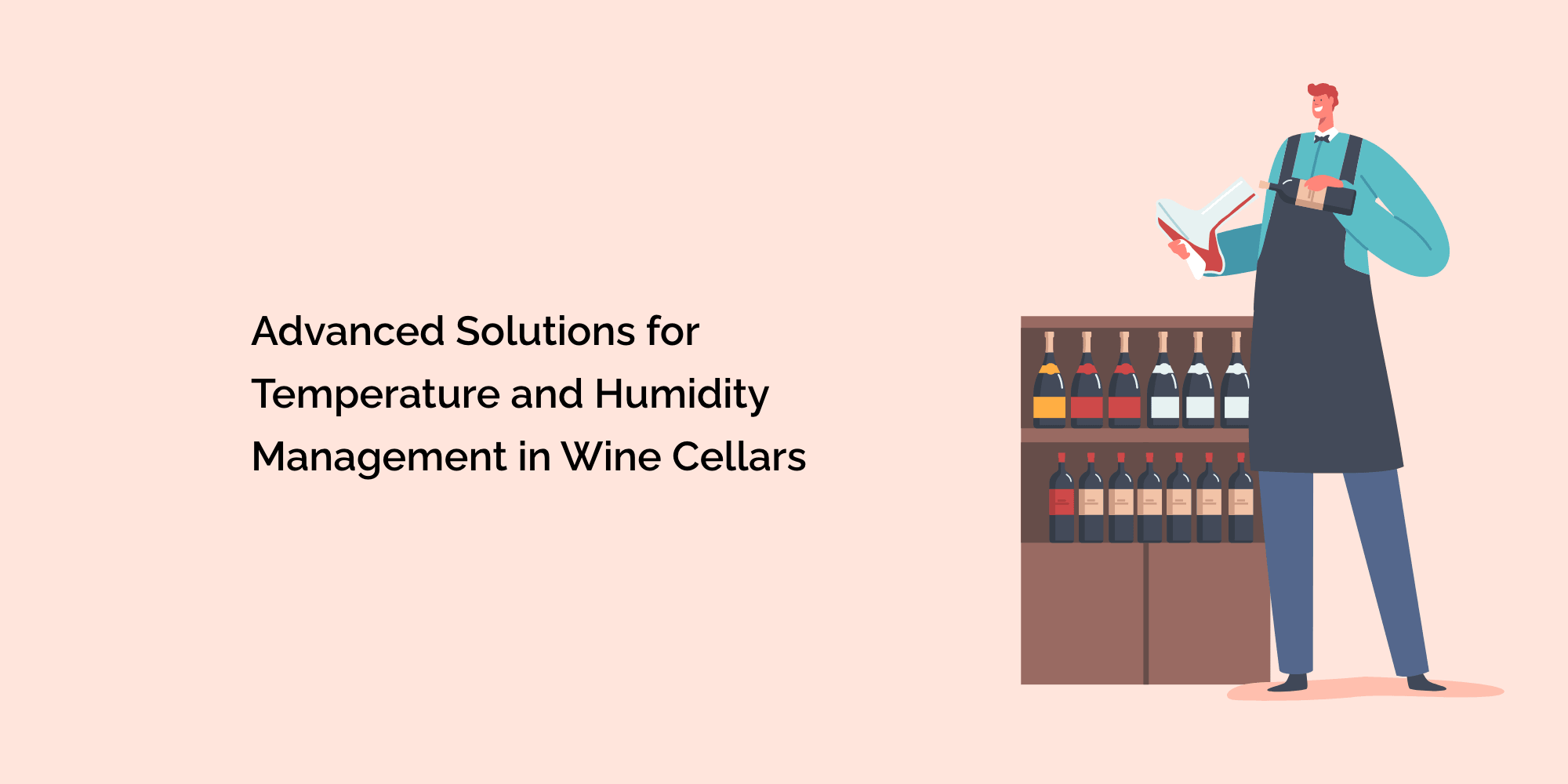 Advanced Solutions for Temperature and Humidity Management in Wine Cellars