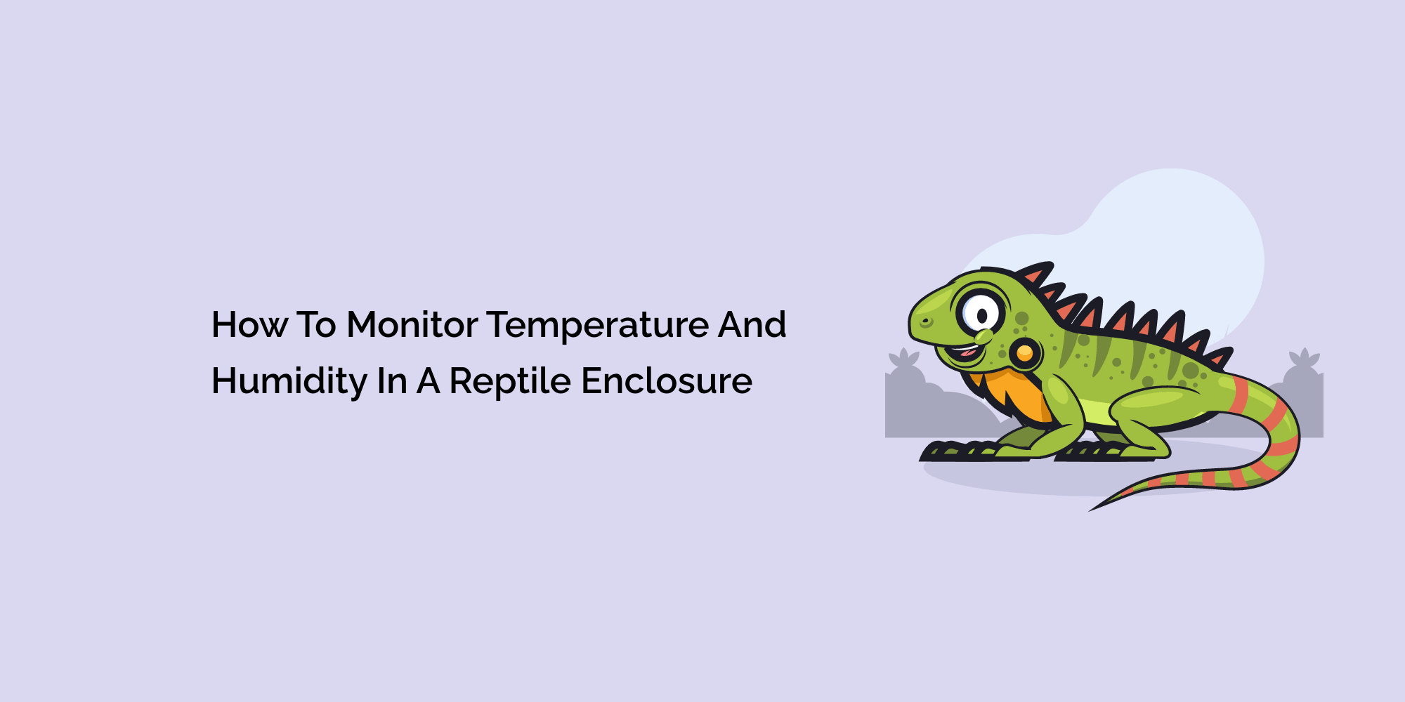 How to Monitor Temperature and Humidity in a Reptile Enclosure tempCube
