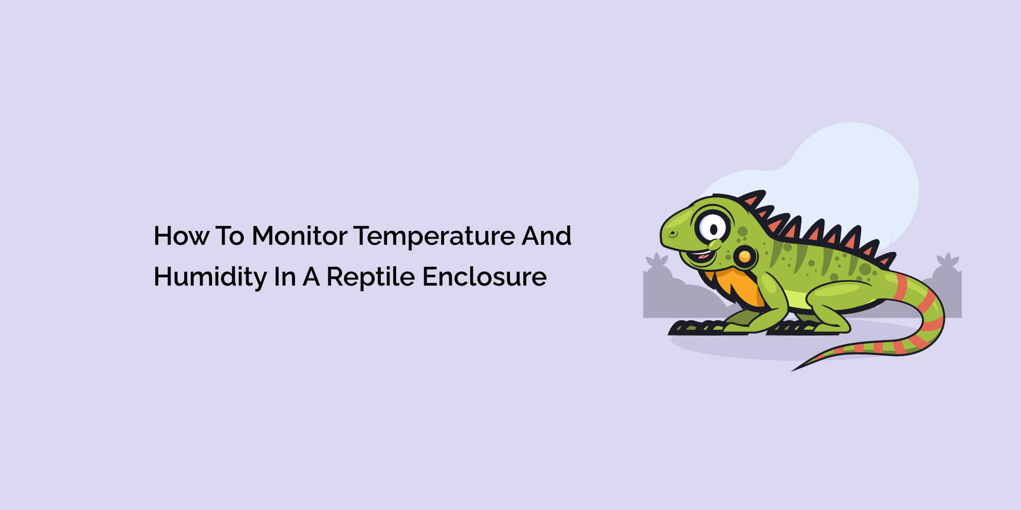 How to Monitor Temperature and Humidity in a Reptile Enclosure