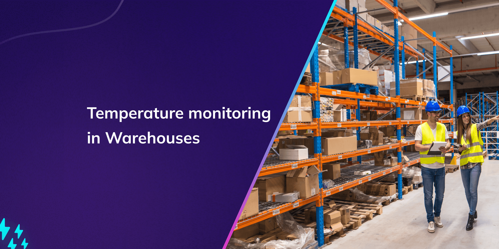 Why Temperature Monitoring in Warehouses is crucial?