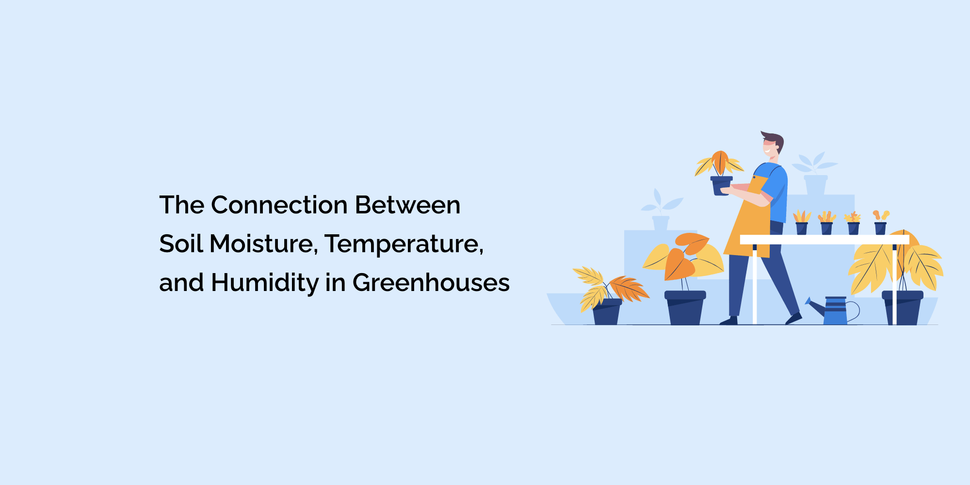 The Connection Between Soil Moisture, Temperature, and Humidity in Greenhouses