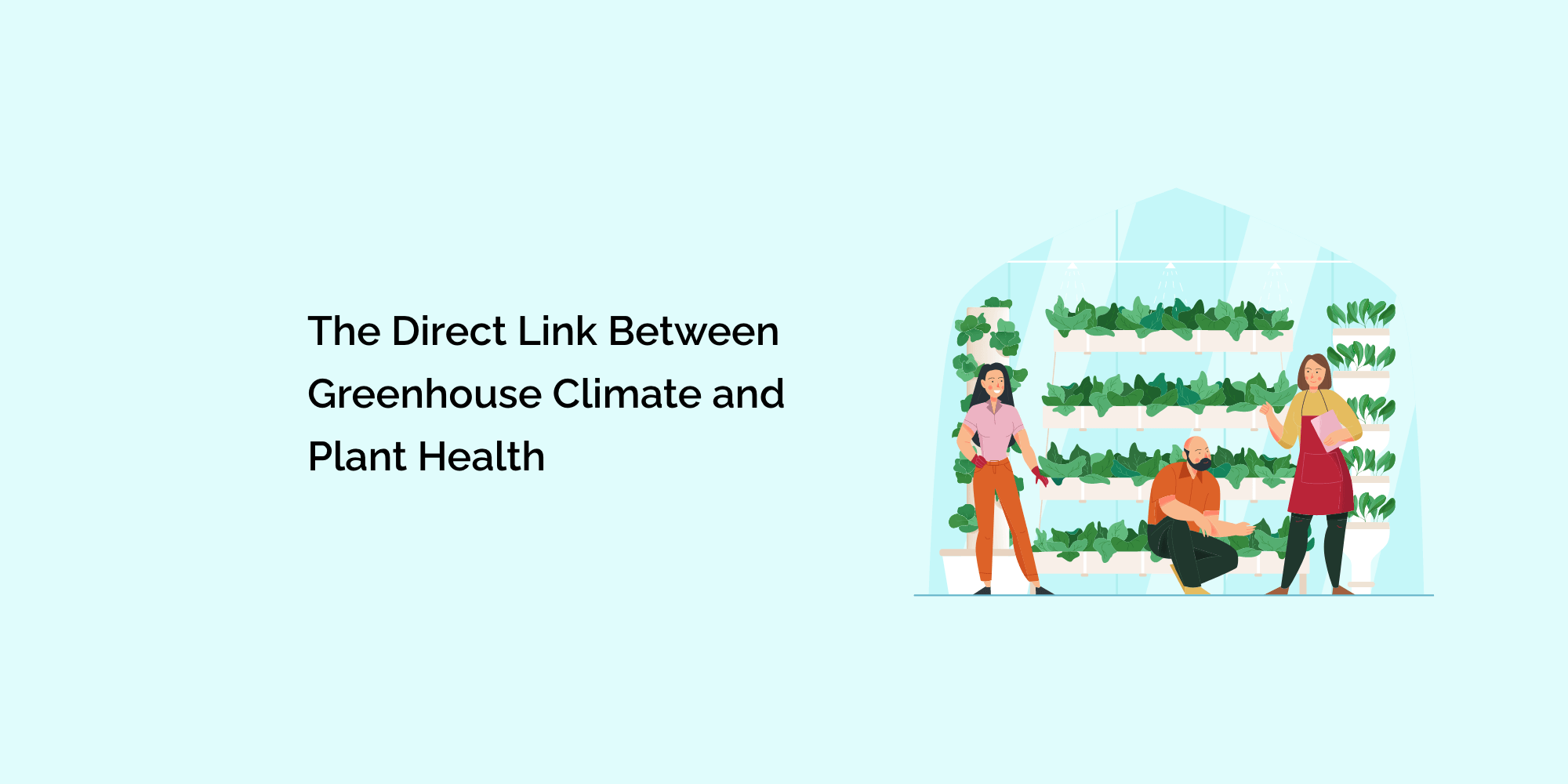 The Direct Link Between Greenhouse Climate and Plant Health