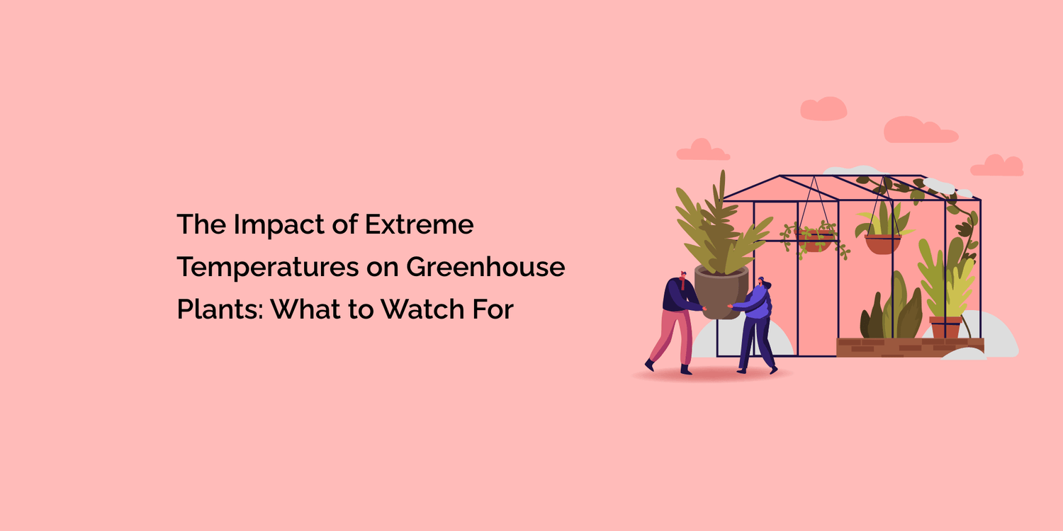 The Impact of Extreme Temperatures on Greenhouse Plants: What to Watch For