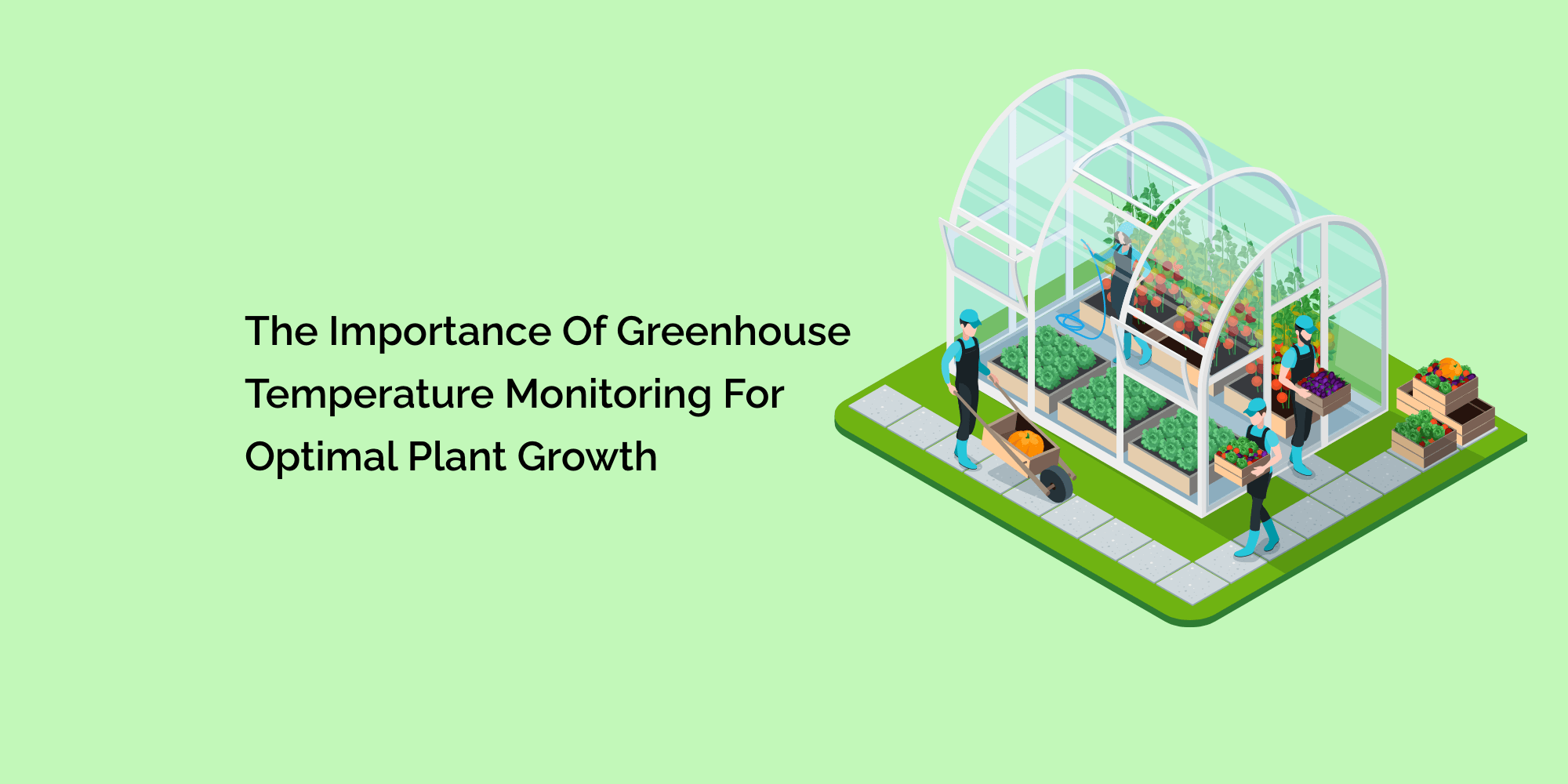 The Importance of Greenhouse Temperature Monitoring for Optimal Plant