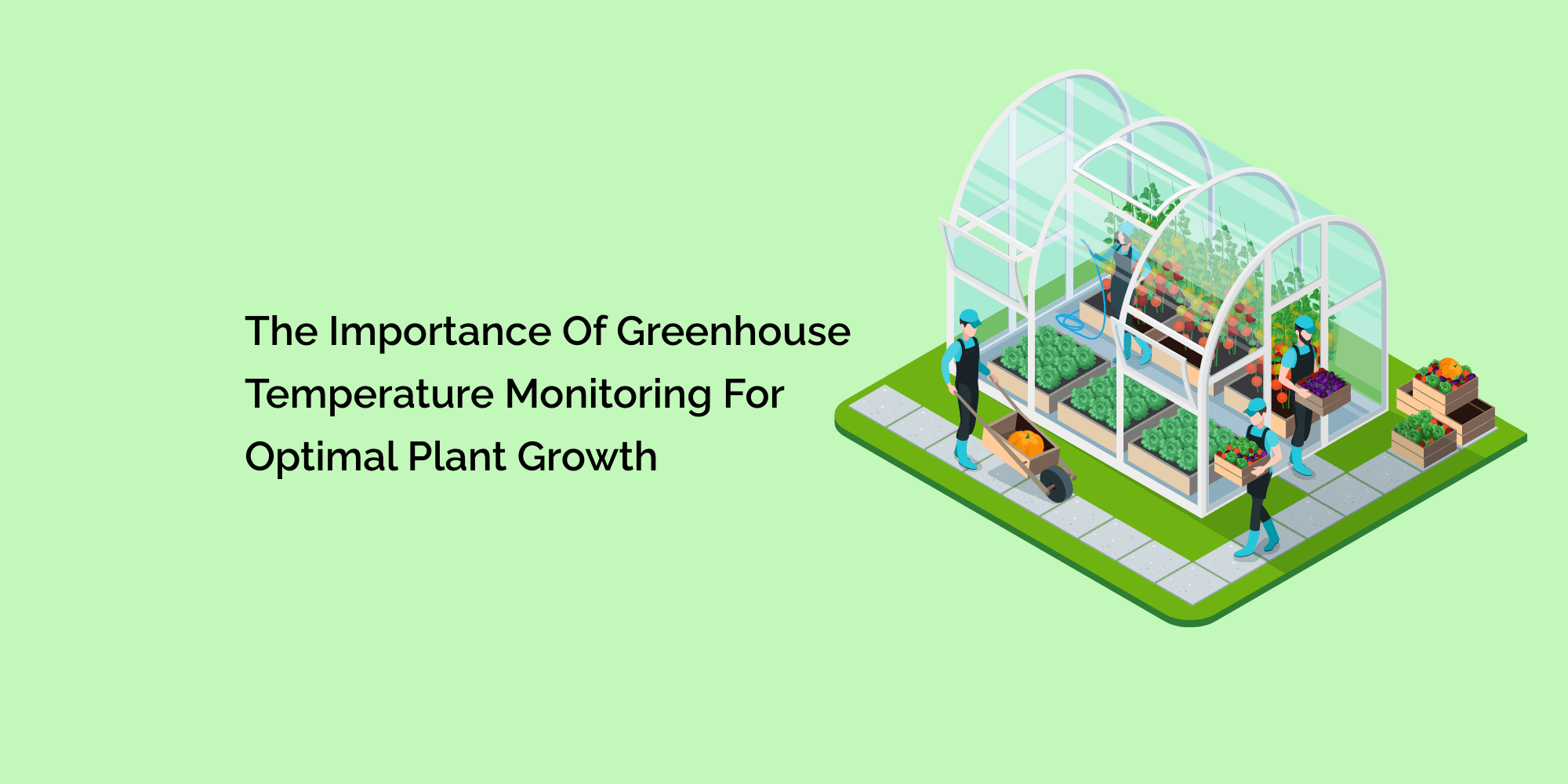 The Importance of Greenhouse Temperature Monitoring for Optimal Plant Growth