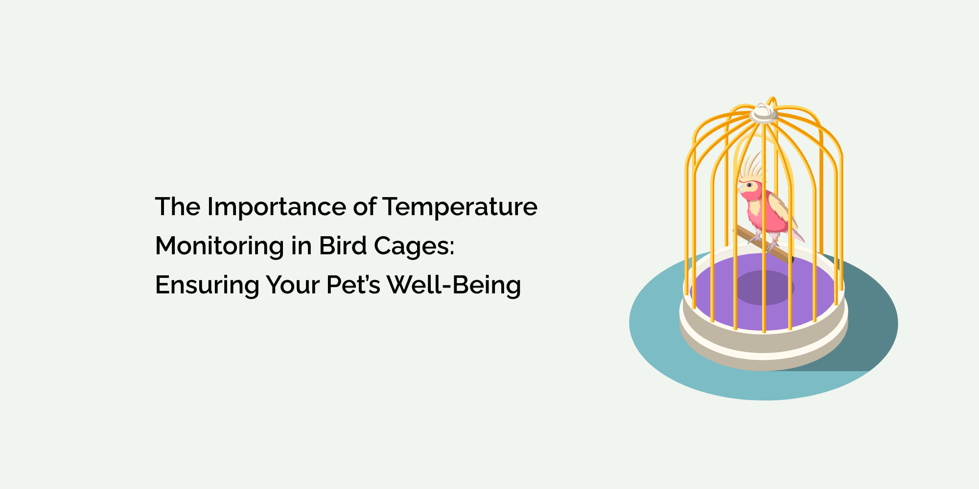 The Importance of Temperature Monitoring in Bird Cages: Ensuring Your Pet's Well-Being