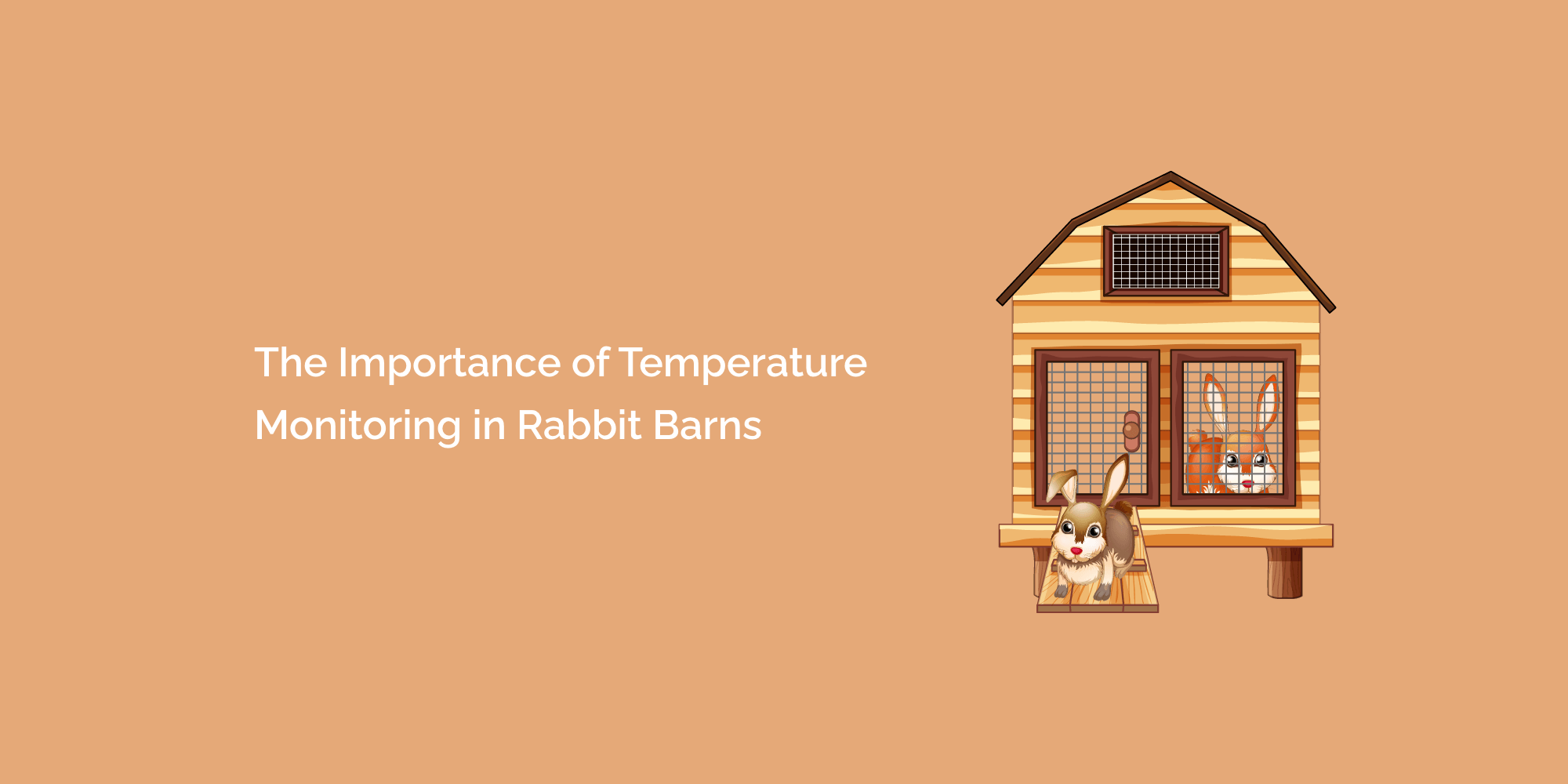 The Importance of Temperature Monitoring in Rabbit Barns