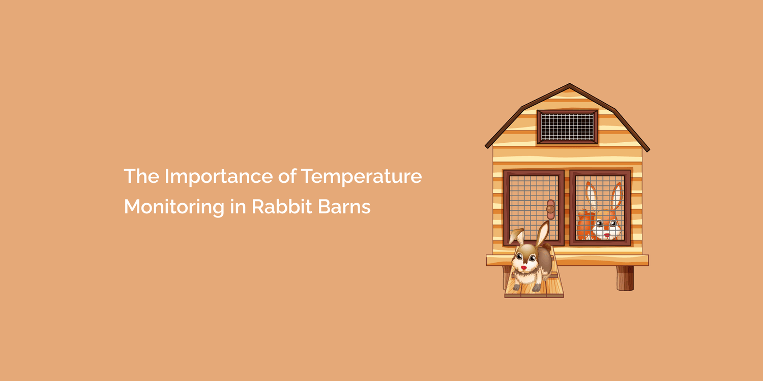 The Importance of Temperature Monitoring in Rabbit Barns tempCube
