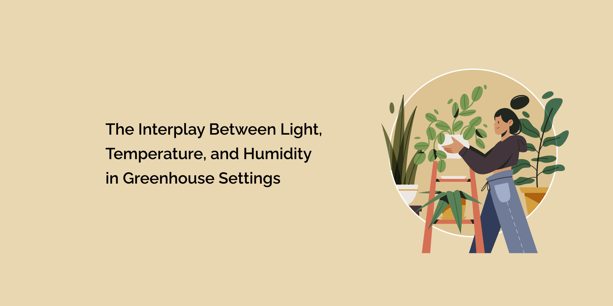 The Interplay Between Light, Temperature, and Humidity in Greenhouse Settings