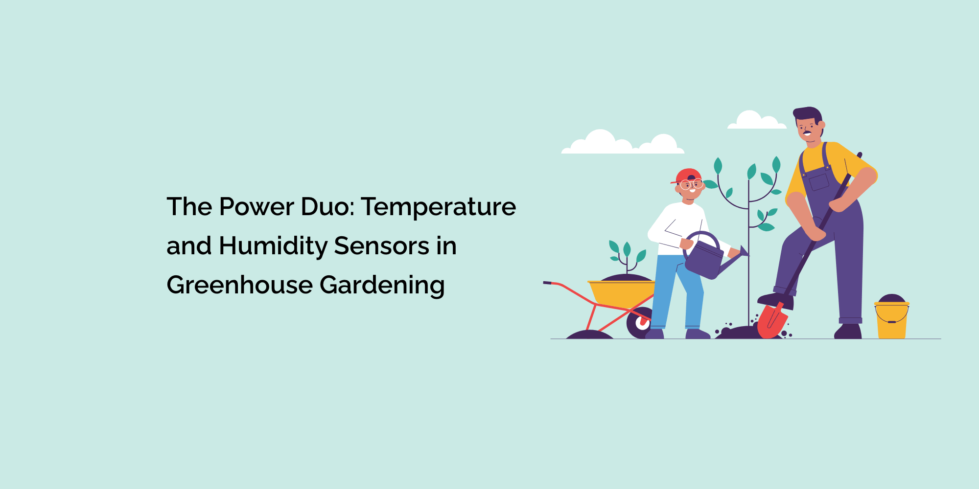 The Power Duo: Temperature and Humidity Sensors in Greenhouse Gardening