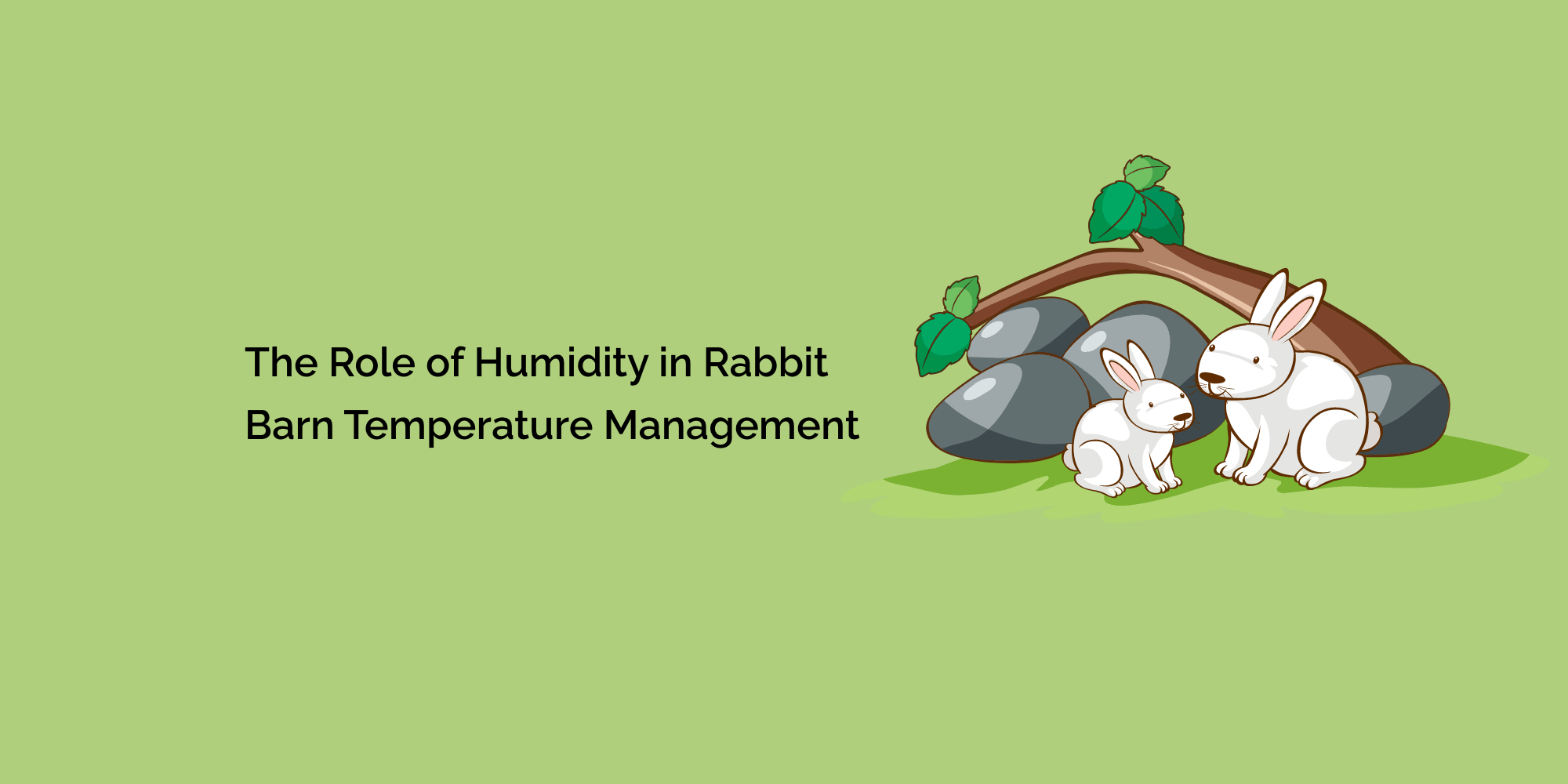 The Role of Humidity in Rabbit Barn Temperature Management