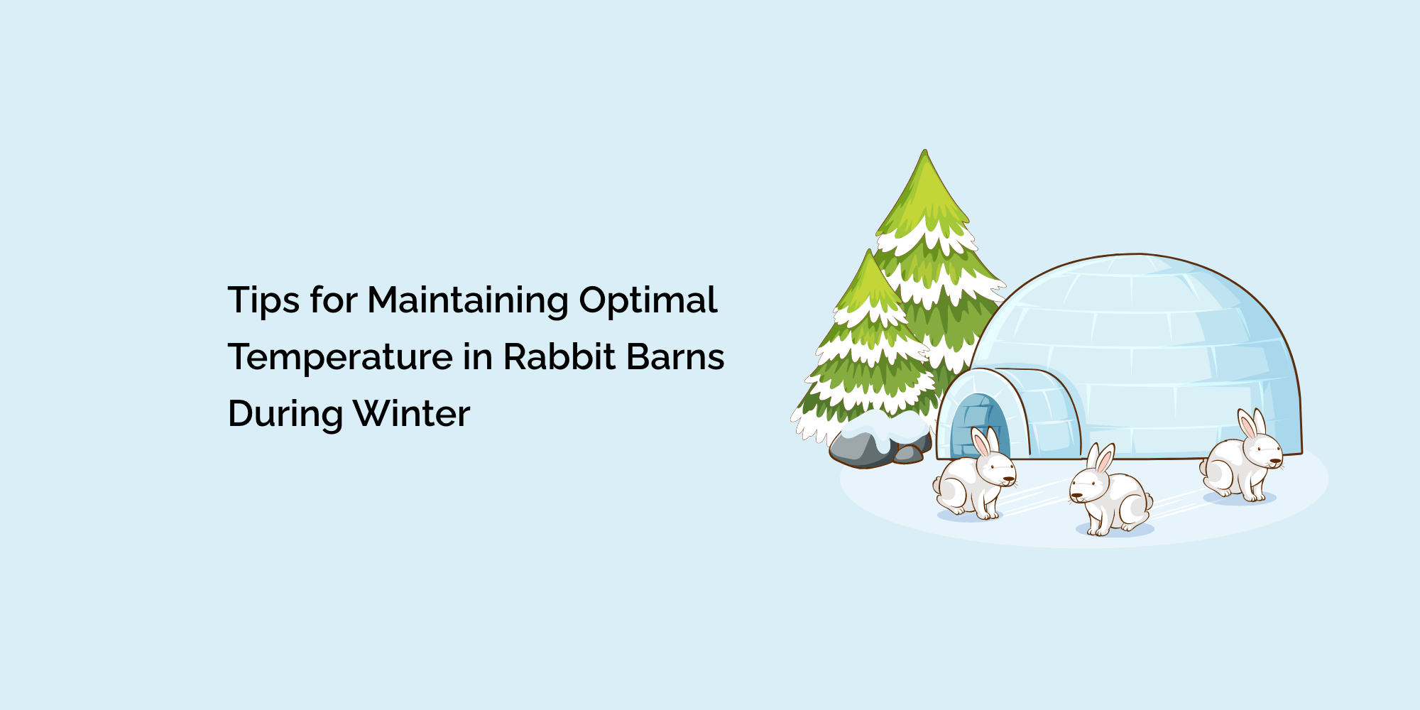 Tips for Maintaining Optimal Temperature in Rabbit Barns During Winter