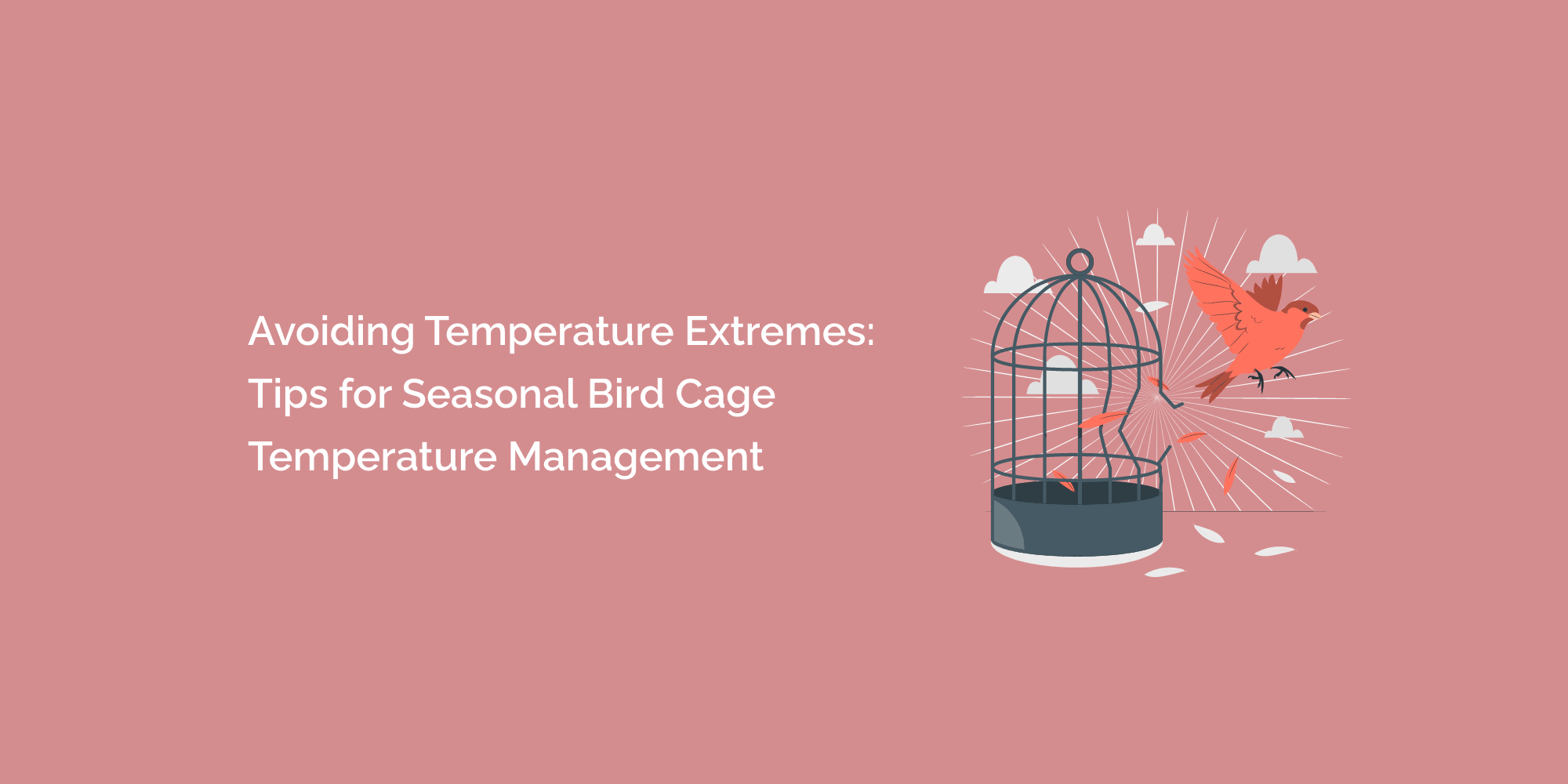 Avoiding Temperature Extremes: Tips for Seasonal Bird Cage Temperature Management
