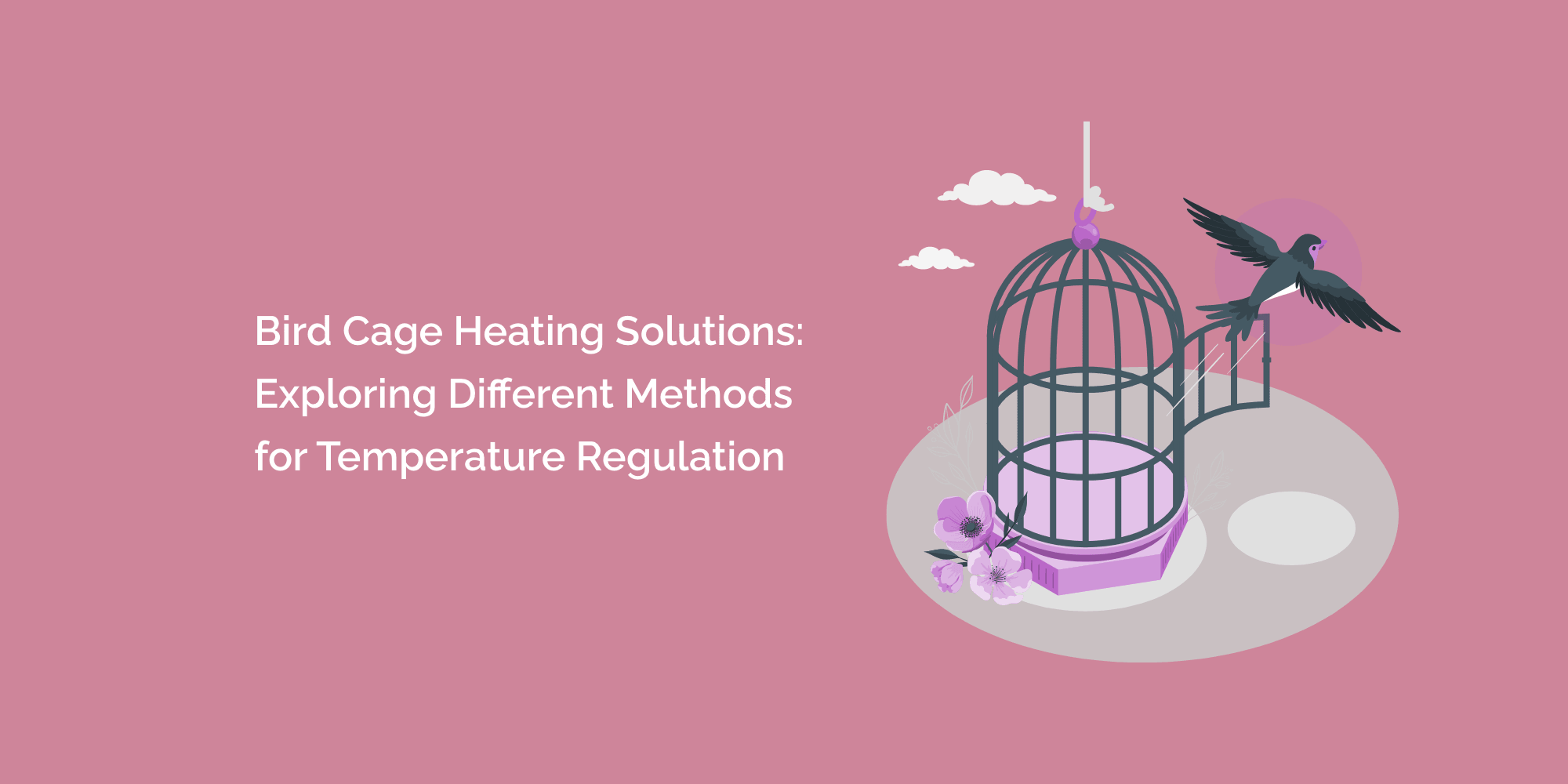 Bird Cage Heating Solutions: Exploring Different Methods for Temperature Regulation