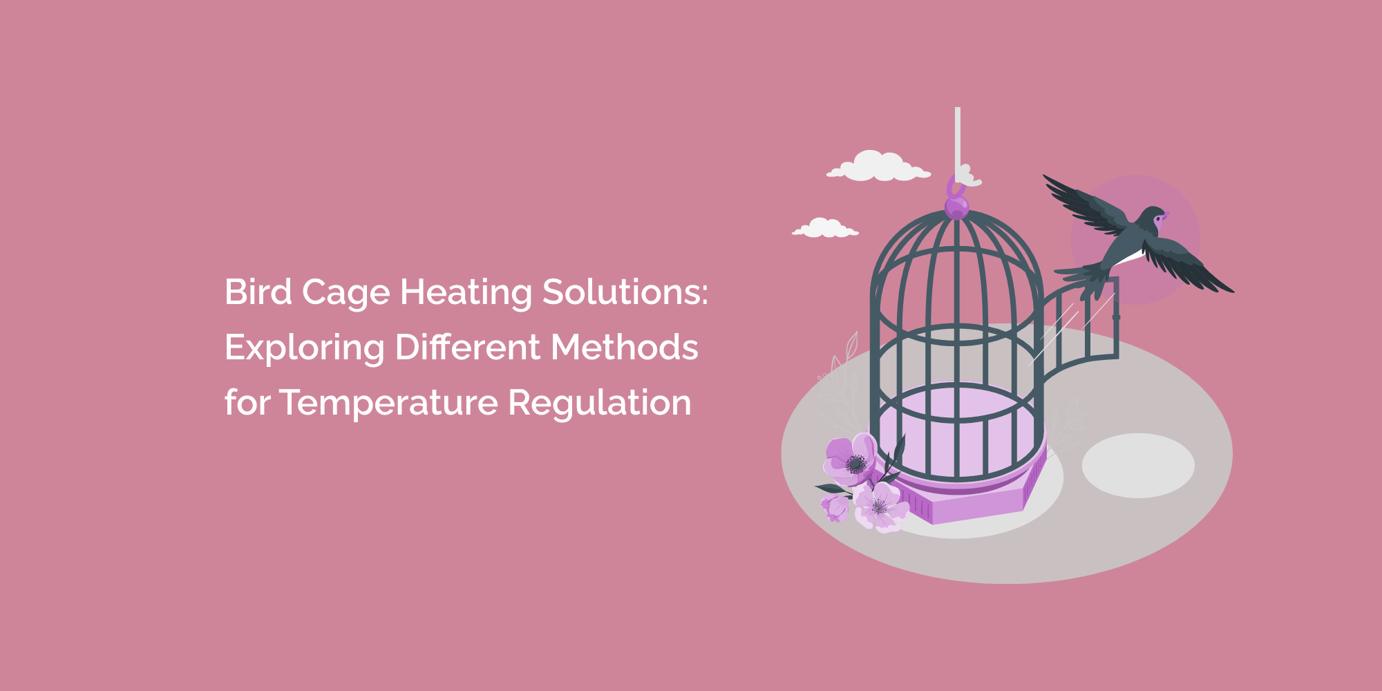 Bird Cage Heating Solutions: Exploring Different Methods for ...