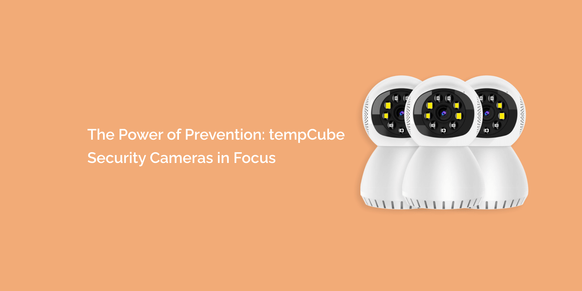 The Power of Prevention: tempCube Security Cameras in Focus