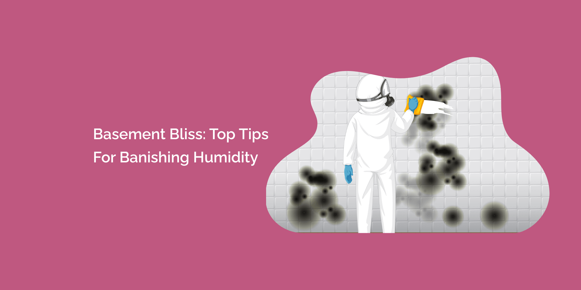 Basement Bliss: Top Tips for Banishing Humidity