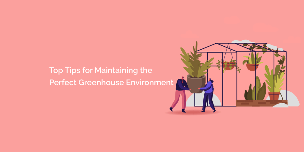 Top Tips for Maintaining the Perfect Greenhouse Environment – tempCube