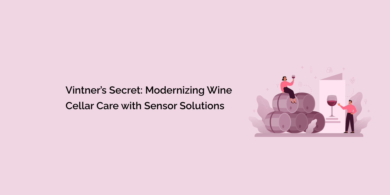 Vintner's Secret: Modernizing Wine Cellar Care with Sensor Solutions