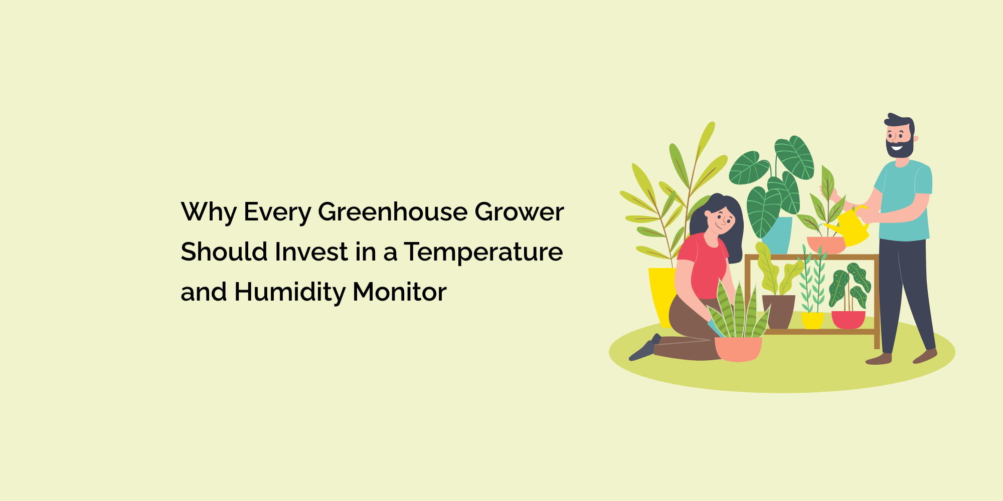 Why Every Greenhouse Grower Should Invest in a Temperature and Humidity Monitor