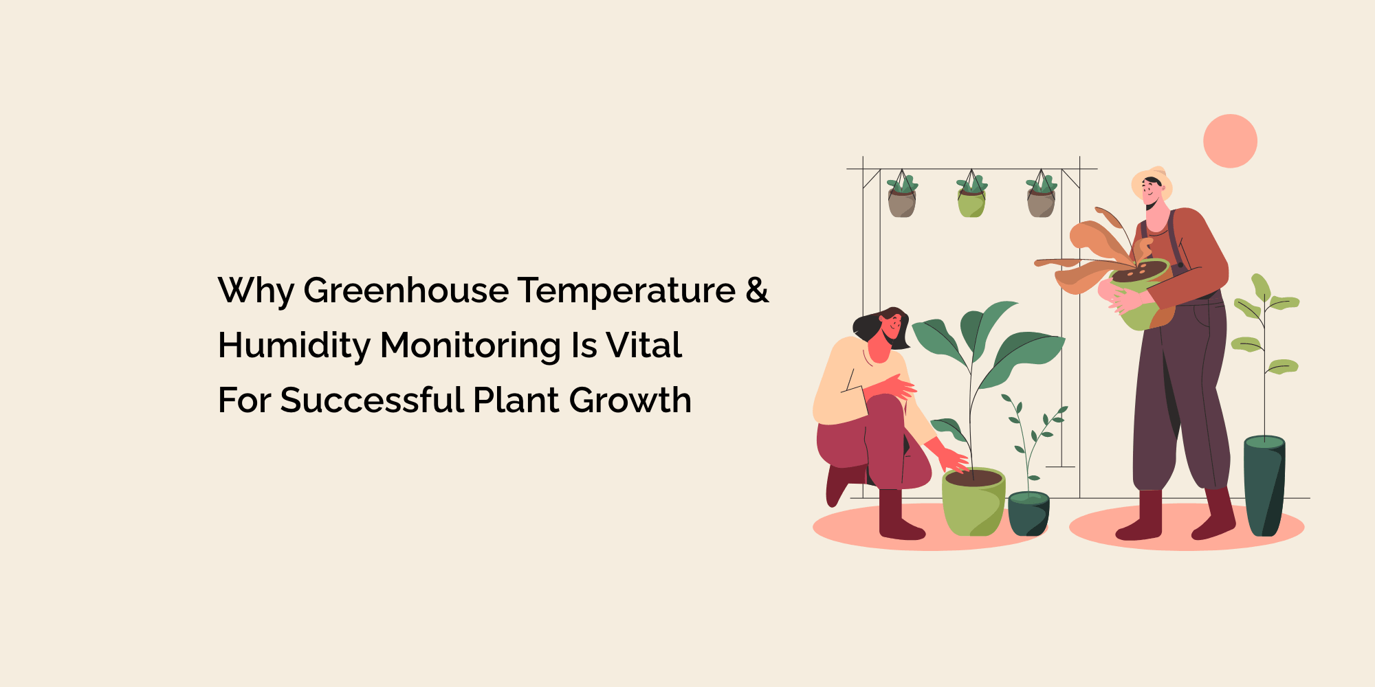 Why Greenhouse Temperature & Humidity Monitoring is Vital for Successful Plant Growth