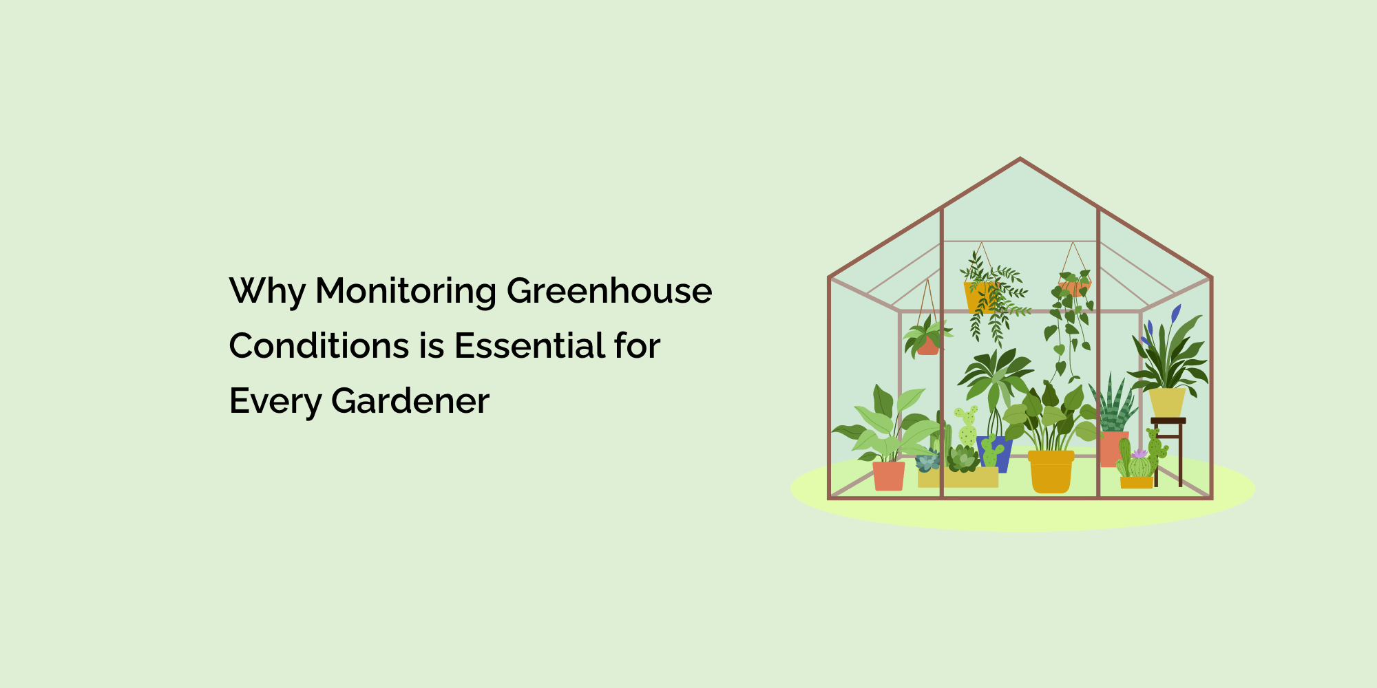 Why Monitoring Greenhouse Conditions is Essential for Every Gardener