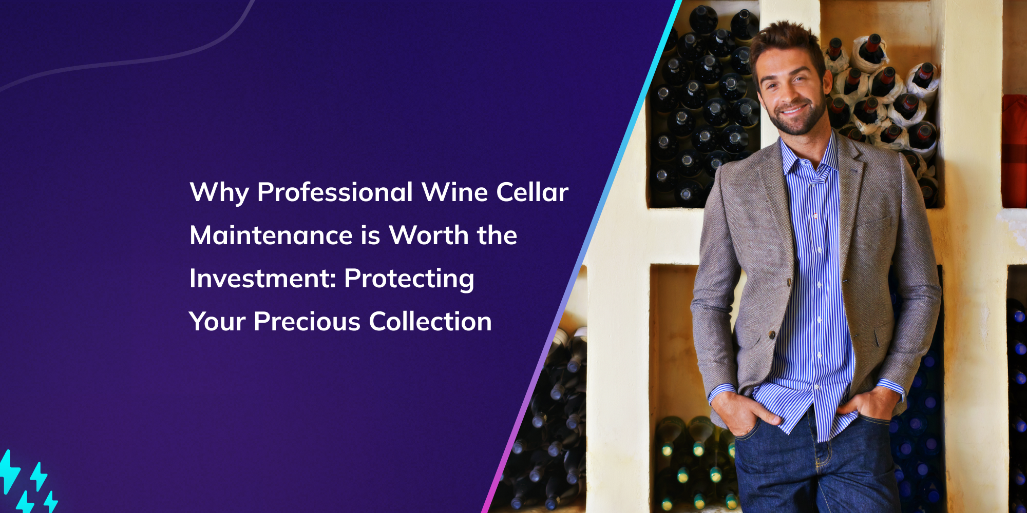 View of Why Professional Wine Cellar Maintenance is Worth the Investment ...