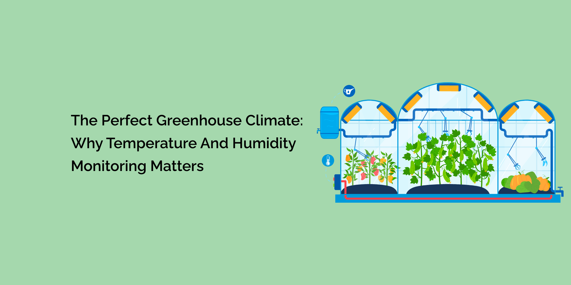 The Perfect Greenhouse Climate: Why Temperature and Humidity Monitoring Matters