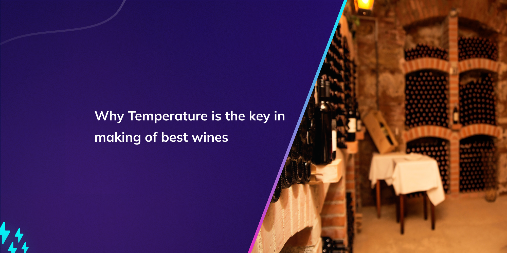 Why Temperature is the key in making of best wines