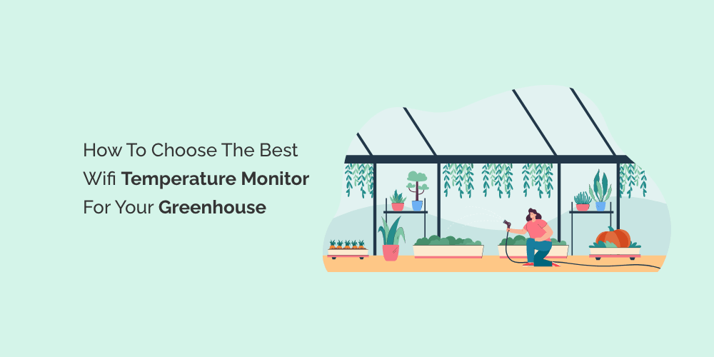 Tips for Installing and Using a Wifi Temperature Monitor in Your Greenhouse