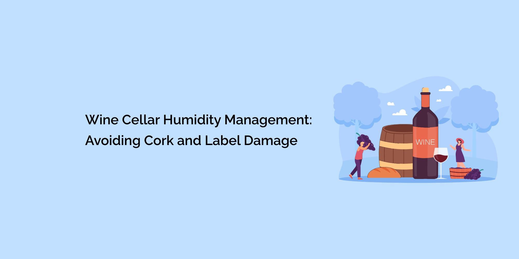 Wine Cellar Humidity Management: Avoiding Cork and Label Damage