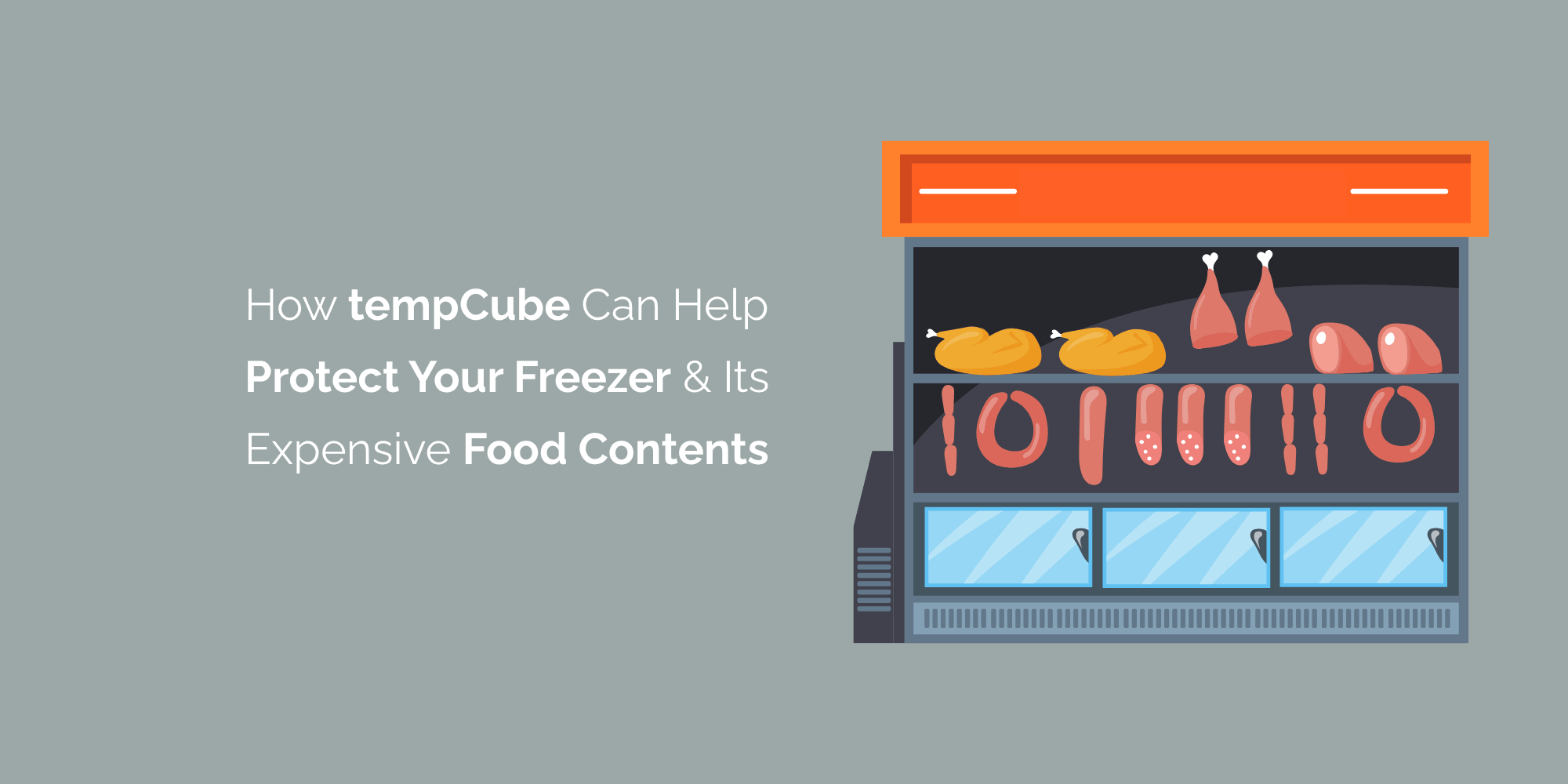 How TempCube can help protect your freezer and its Expensive food contents