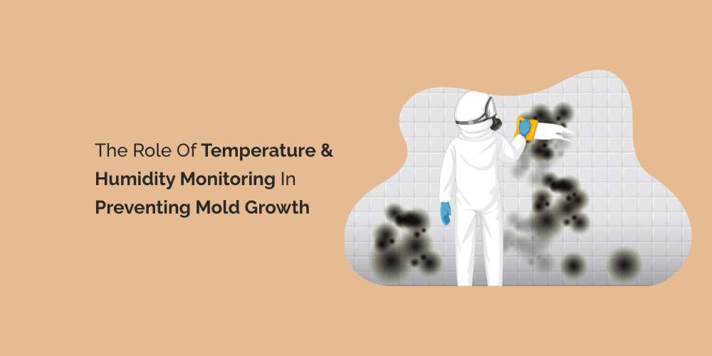 The Role of Temperature and Humidity Monitoring in Preventing Mold Growth
