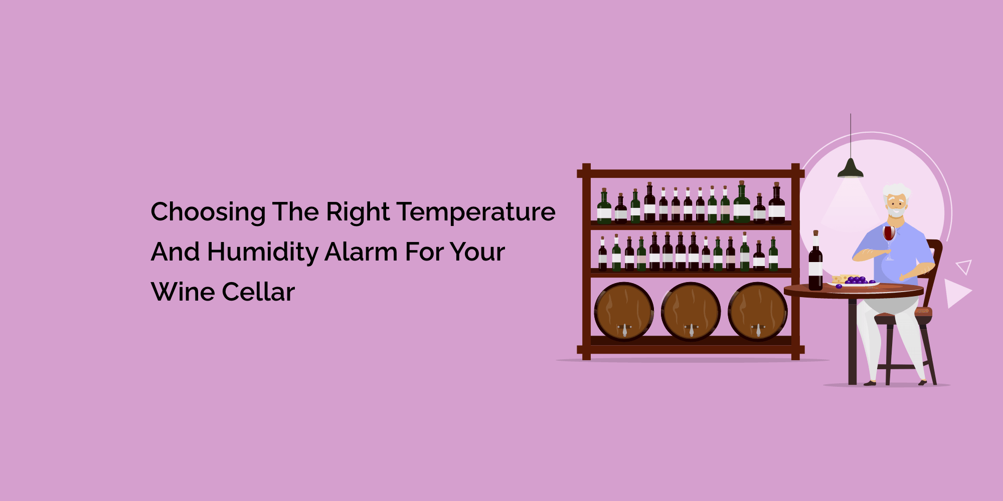 Choosing the Right Temperature and Humidity Alarm for Your Wine Cellar