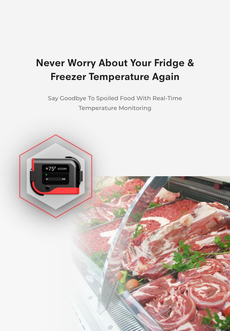 Freezer Monitor Best Wifi Temperature & Humidity Monitor for Freezers & Refrigerators ...