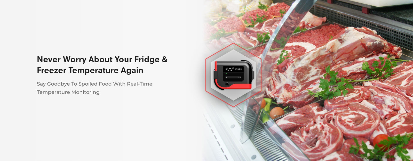 Freezer Temperature Monitor | tempCube Pro